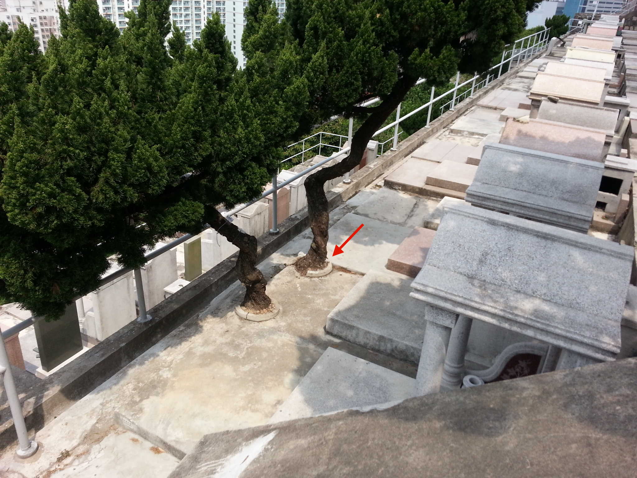 garve yard feng shui